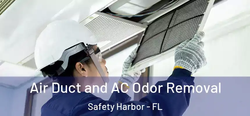 Air Duct and AC Odor Removal Safety Harbor - FL