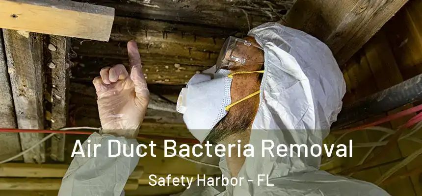 Air Duct Bacteria Removal Safety Harbor - FL