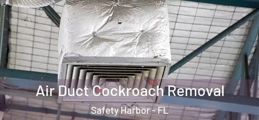 Air Duct Cockroach Removal Safety Harbor - FL