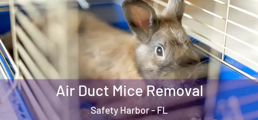 Air Duct Mice Removal Safety Harbor - FL