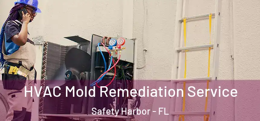 HVAC Mold Remediation Service Safety Harbor - FL