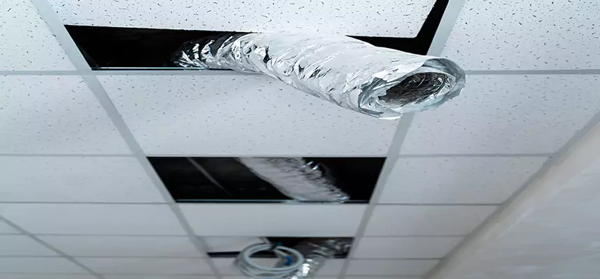 Affordable HVAC Sanitizing After Pest Removal in Safety Harbor