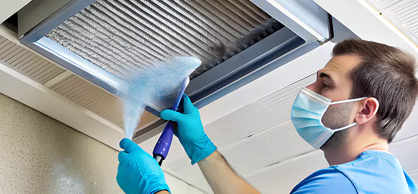 Proactive Dryer Vent & Auxiliary Duct Pollen Cleanup in Safety Harbor, FL