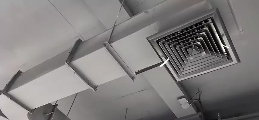 Restorative Allergy Relief Vent Cleaning – Coil, Blower & Housing Detail in Safety Harbor