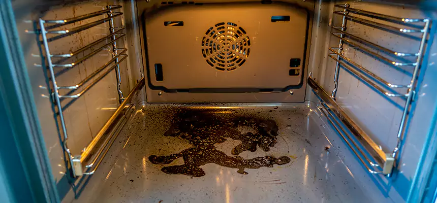 Our Dryer Vent Mold Cleaning Services in Safety Harbor, FL