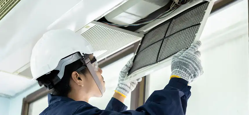 Our Lint Trap Cleaning Service Services in Safety Harbor, FL