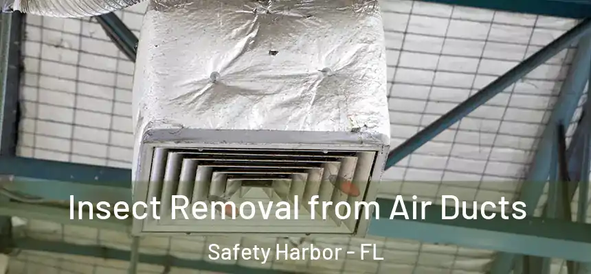 Insect Removal from Air Ducts Safety Harbor - FL
