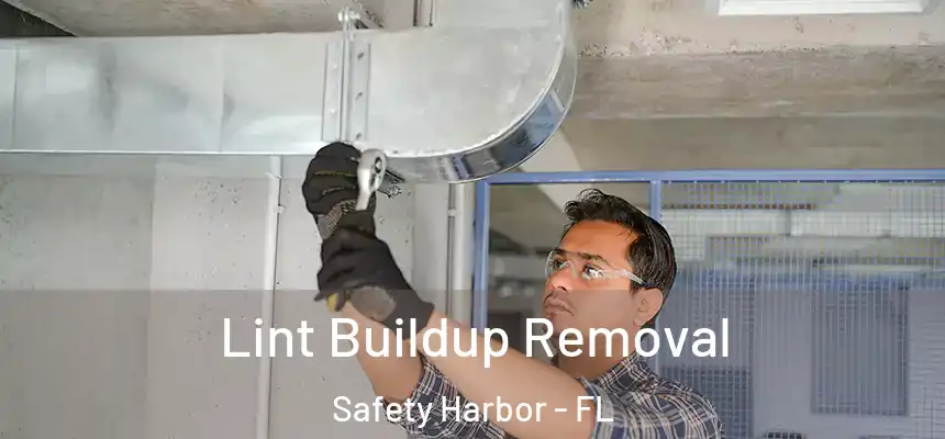 Lint Buildup Removal Safety Harbor - FL