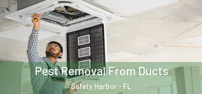 Pest Removal From Ducts Safety Harbor - FL