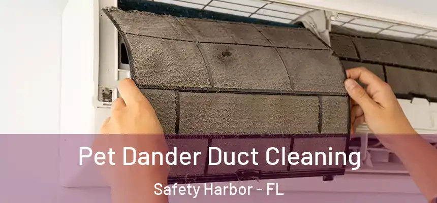 Pet Dander Duct Cleaning Safety Harbor - FL