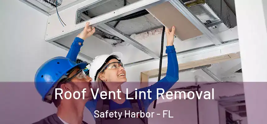 Roof Vent Lint Removal Safety Harbor - FL
