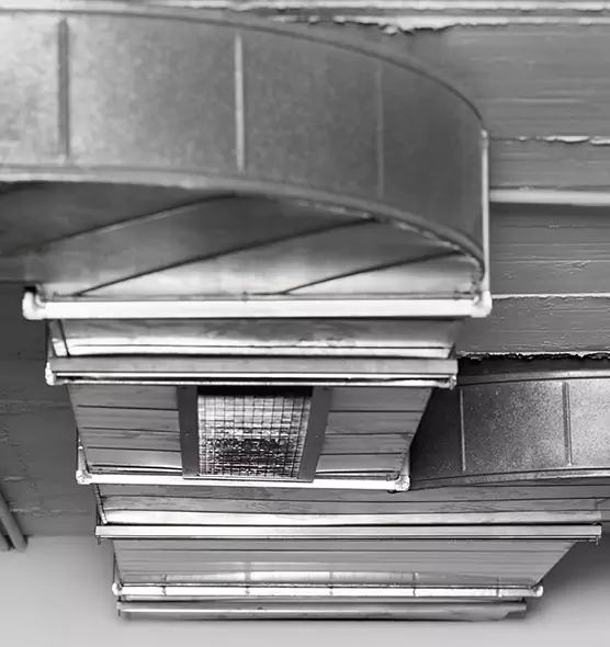 Professional Air Duct Pest Removal in Safety Harbor, FL