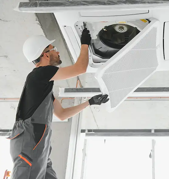 About Air Duct Rodent Removal in Safety Harbor, FL