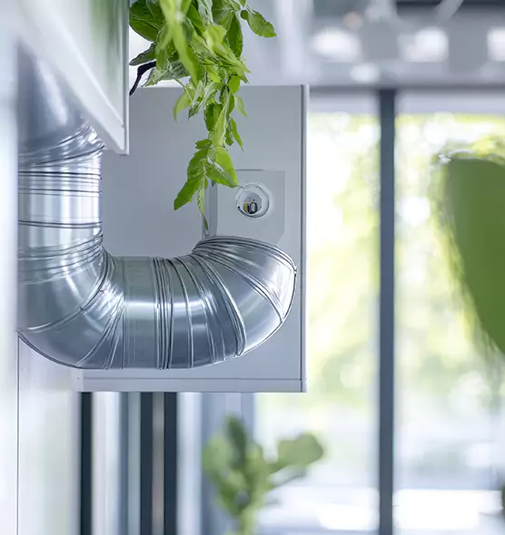 Professional Eco-Safe Dryer Vent Cleaning in Safety Harbor, FL