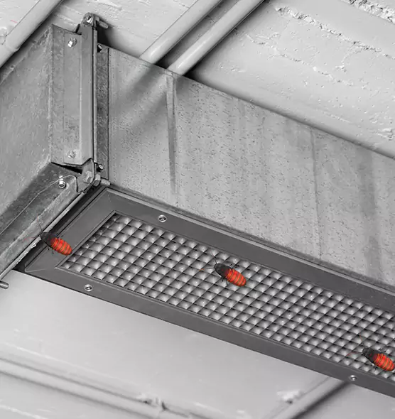 Affordable Insect Removal from Air Ducts in Safety Harbor, FL