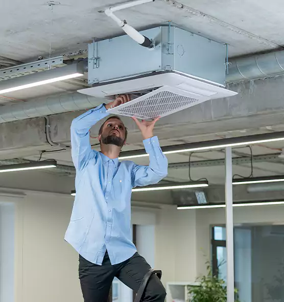 Advanced Rodent Droppings In Vents in Safety Harbor, FL