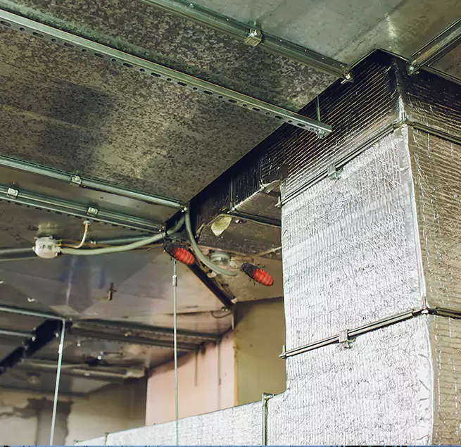 Why Homeowners & Businesses Trust Us in Safety Harbor, FL?