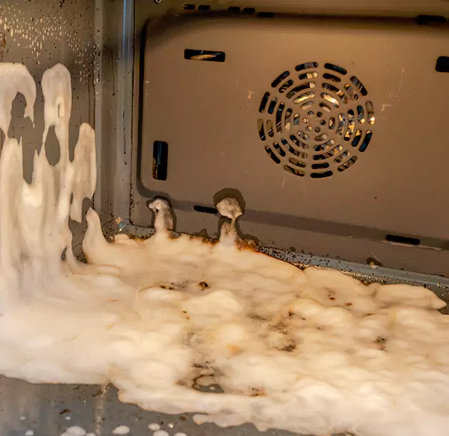 Why Homeowners Businesses Trust Us in Safety Harbor, FL?