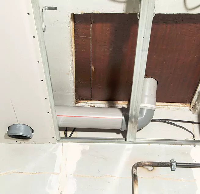 Why Homeowners & Businesses Trust Us in Safety Harbor, FL?