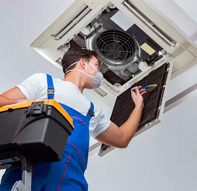 Why Homeowners & Businesses Trust Us in Safety Harbor, FL