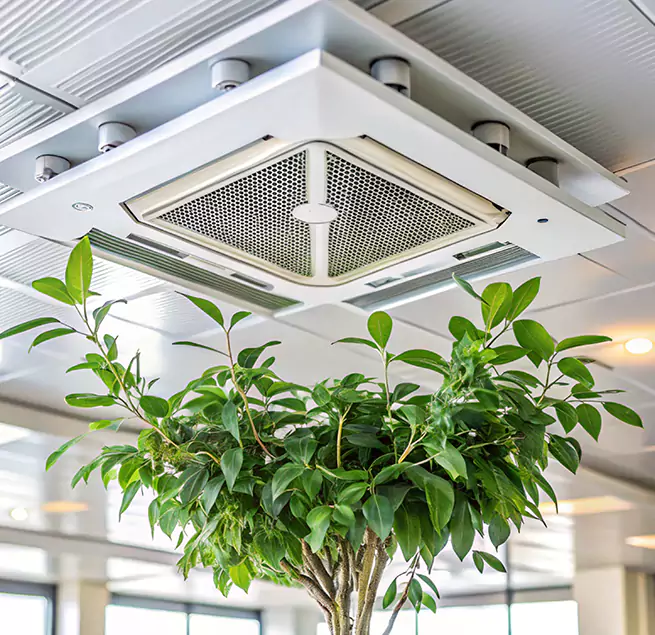 Why Homeowners & Businesses Trust Us in Safety Harbor, FL