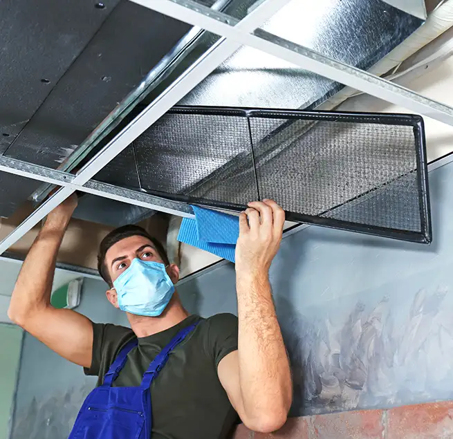 Why Homeowners & Businesses Trust Us in Safety Harbor, FL?