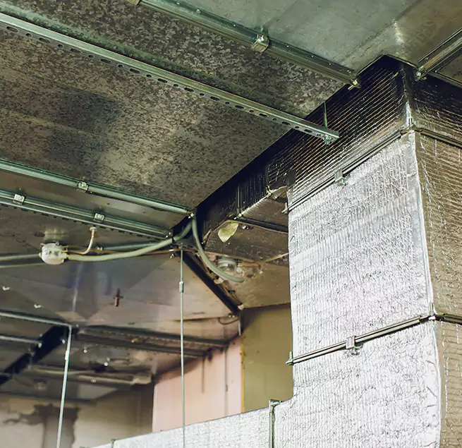 Why Homeowners & Businesses Trust Us in Safety Harbor, FL?