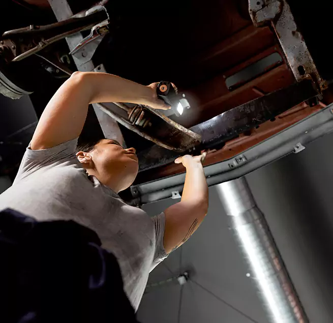 Why Homeowners & Businesses Trust Us Safety Harbor, FL