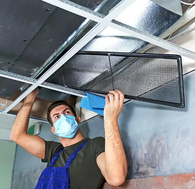 Why Homeowners Businesses Trust Us in Safety Harbor, FL?